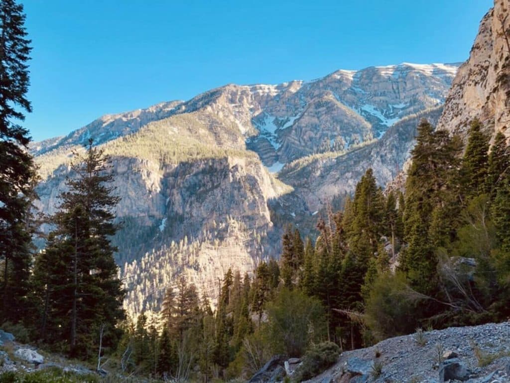 foto_no_mount_charleston-1024x769